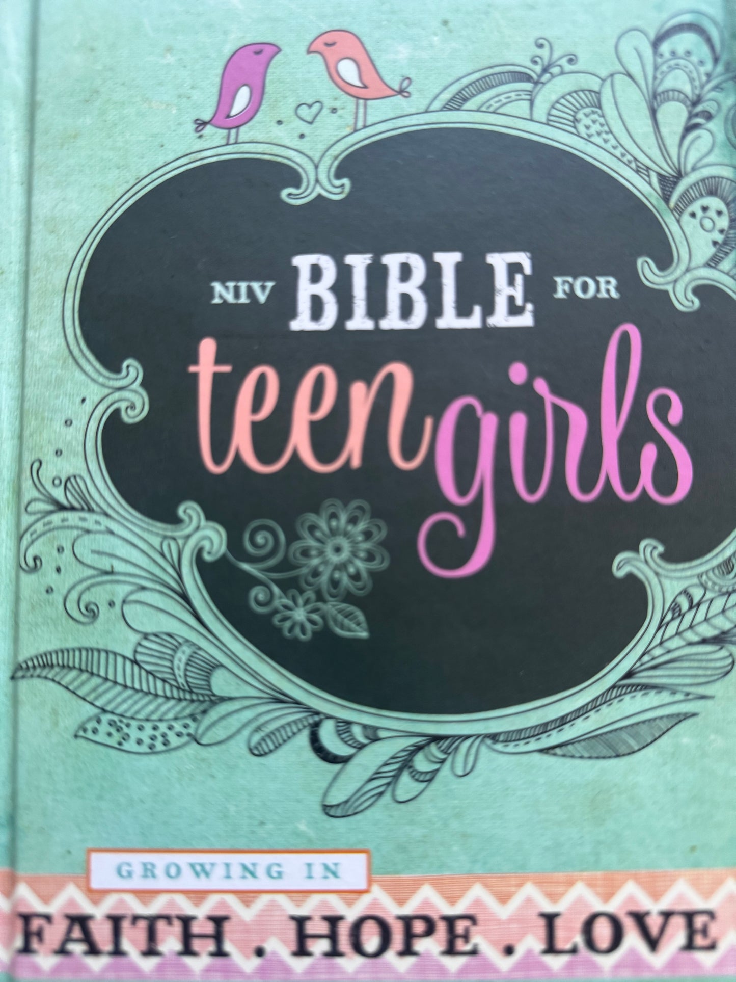 Bible for teen girls