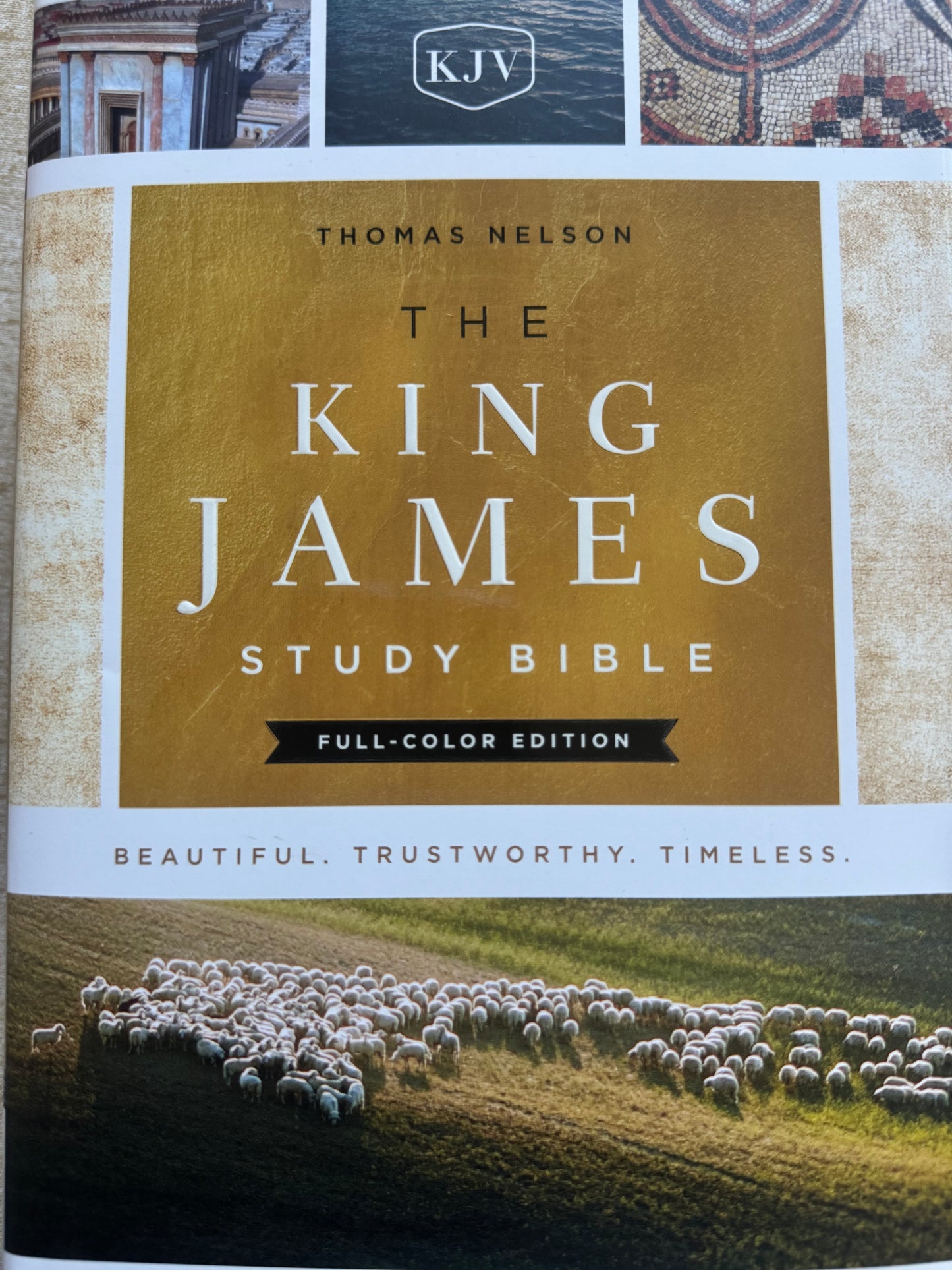 KJV Study Bible